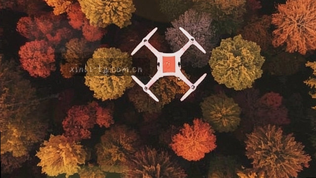 赛程直连·零时差同步